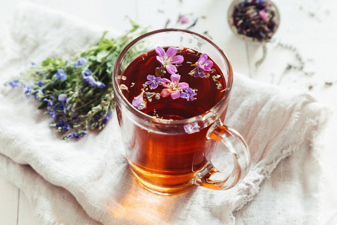 resep minuman herbal lansia